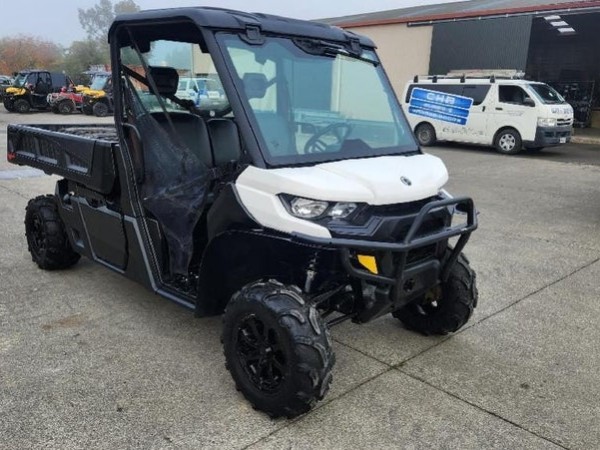 Can-Am HD-10 HD10 DPS PICK UP 2020