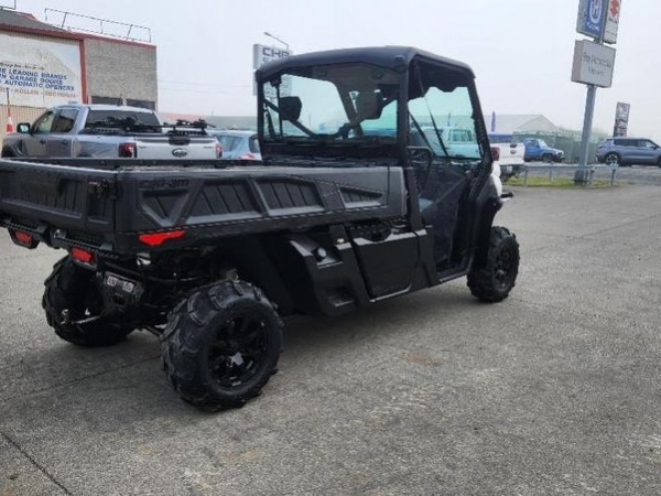 Can-Am HD-10 HD10 DPS PICK UP 2020