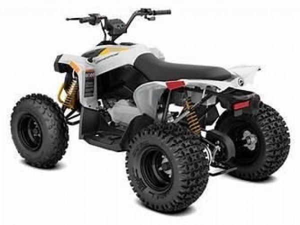 Can-Am Renegade 110 2023